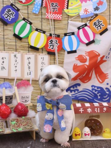 20240714みたらしちゃん